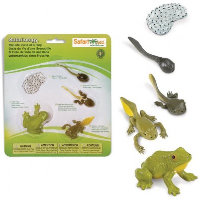 Safari Ltd. Životní cyklus Žába