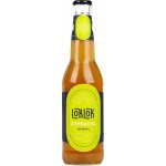 Loklok kombucha Original 330 ml – Zboží Dáma