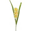 Květina Hyacint balení 3 ks, 60 cm, žlutý