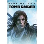 Rise of the Tomb Raider (Deluxe Edition)