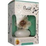 Brait dekorativní osvěžovač vzduchu AROMA 75 ml Frosty delight – Sleviste.cz