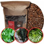 Urban Jungle pro Monstery, Filodendrony, Alokázie a Epipremna Bigos 5 l – Hledejceny.cz