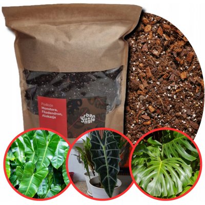 Urban Jungle pro Monstery, Filodendrony, Alokázie a Epipremna Bigos 5 l – Hledejceny.cz