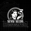 Semena konopí Sensi Seeds Research Blueberry Zkittlez Auto semena neobsahují THC 1 ks