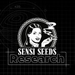 Sensi Seeds Research Double Kush Cake semena neobsahují THC 5 ks – Zboží Dáma