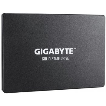 Gigabyte 1TB, GP-GSTFS31100TNTD