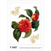 Obraz AG Design, Samolepka / samolepící dekorace na zeď F 0457, Červené květy se zlatými prvky