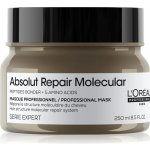 L´Oréal Professionnel Maska pro poškozené vlasy Absolute Repair Molecular Professional Mask 250 ml – Hledejceny.cz