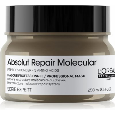 L´Oréal Professionnel Maska pro poškozené vlasy Absolute Repair Molecular Professional Mask 250 ml – Hledejceny.cz