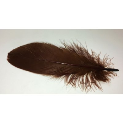 Veniard Husí Peří Goose Shoulder Stiff Dark Brown 4 ks – Hledejceny.cz