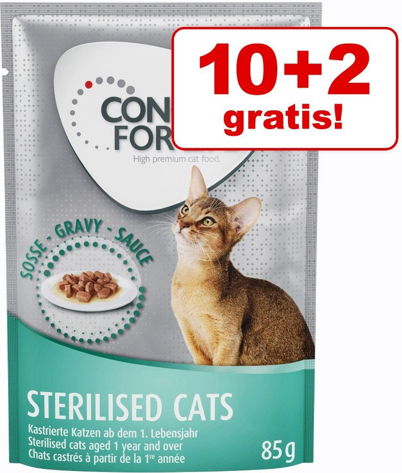 Concept for Life Maine Coon Adult ragú 12 x 85 g