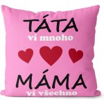 Impar Polštář Máma ví všechno 40x40 – Zboží Mobilmania