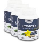 Adiel Kotvičník zemní Forte s vitamínem E 3 x 90 kapslí – Hledejceny.cz