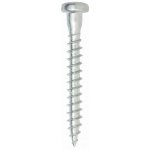 Vrut Rapi-Tec do tesařského kování, 5x50mm, T20, bílý zinek, 1 ks – Hledejceny.cz