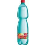 Korunní ovocná směs 1,5 l – Hledejceny.cz