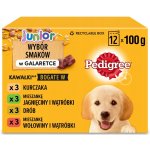 Pedigree Junior kuřecí 12 x 100 g – Sleviste.cz