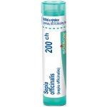SEPIA OFFICINALIS POR 200CH GRA 4G – Hledejceny.cz