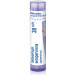 GELSEMIUM SEMPERVIRENS POR 30CH GRA 1X4G – Hledejceny.cz