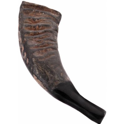 Terre Buffalo Horn – Zboží Mobilmania