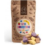 Natu Lyo smoothie mix 75 g – Zboží Mobilmania