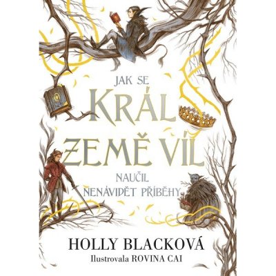 Jak se král Země víl naučil nenávidět příběhy – Zboží Dáma