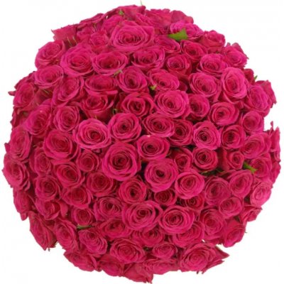 Kytice 100 růžových růží FUCHSIANA 50cm