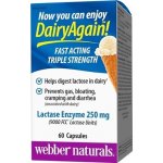 Webber Naturals Laktáza enzym 9000 FCC kapsle 60 ks – Hledejceny.cz