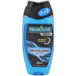 Palmolive for Men Revitalising Sport sprchový gel 250 ml – Zboží Dáma