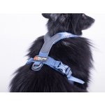 Non Stop Postroj pro psy dogwear Line harness 5.0 – Zboží Dáma