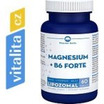 Pharma Activ Magnesium + B6 forte 60 tobolek – Hledejceny.cz