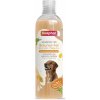 Šampon pro psy Beaphar Šampon pro hnědou srst 250 ml
