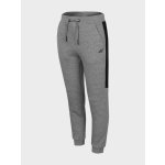 4F HJZ22 JSPMD002 MIDDLE GREY – Zboží Dáma