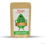Stévík Hugo Žvýkačky Spearmint 45 g – Zboží Dáma