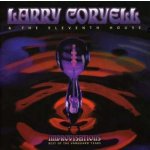 Larry Coryell - Improvisations - Best Of The Vanguard Years CD – Hledejceny.cz