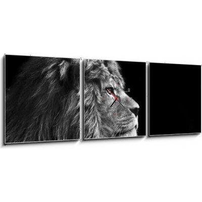 Obraz s hodinami 3D třídílný - 150 x 50 cm - Stunning facial portrait of male lion on black background in bla Ohromující obličej portrét lva na černém pozadí v bla