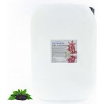 PM Aqualog esence do parních kabin bezové plody 936-010/D 10 l – Hledejceny.cz