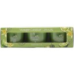YANKEE CANDLE Vanilla Lime 3× 37 g – Zbozi.Blesk.cz