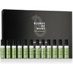 Alfaparf Milano Blends of Many sérum pro suché a poškozené vlasy 12 x 10 ml – Hledejceny.cz