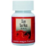 TCM Bohemia Xiao Yao Wan 061 200 kuliček – Hledejceny.cz