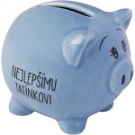 Albi Prasátko pro radost pokladnička Skvělé kamarádce 6 x 7,5 cm – Zboží Dáma