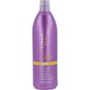 Inebrya Liss Perfect Shampoo 1000 ml