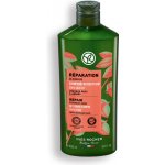 Yves Rocher Regenerační šampón s bio jojobou 200 ml – Hledejceny.cz