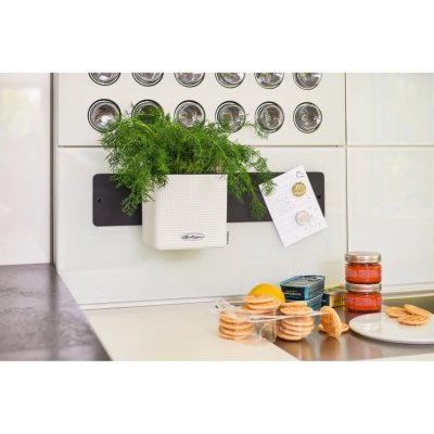 Lechuza Green Wall Color bílá 3 květináče cube color 14 na zeď – HobbyKompas.cz