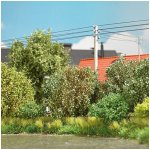 Busch keře pozdní léto 3 ks 3608 – Zbozi.Blesk.cz