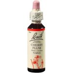 Bachovy květové esence Slíva třešňová Cherry Plum 20 ml – Hledejceny.cz