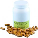 Krmiva Hulín Hovězí kolagen pro psy tbl 530 mg 300 ks – Hledejceny.cz