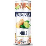 Amundsen Mule vodka & zázvor & limeta & soda 6% 0,25 l (plech) – Hledejceny.cz