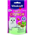 Vitakraft Pamlsek Crispy Crunch dental 60 g – Hledejceny.cz
