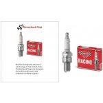 Zapalovací svíčka NGK R6254E-105 Racing – Hledejceny.cz