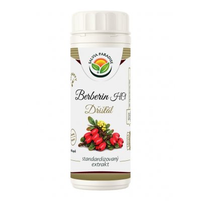 Salvia Paradise Berberin HCl standardizovaný extrakt kapsle 90 ks – Hledejceny.cz